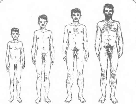 Penis Gréisst ofhängeg vum Alter